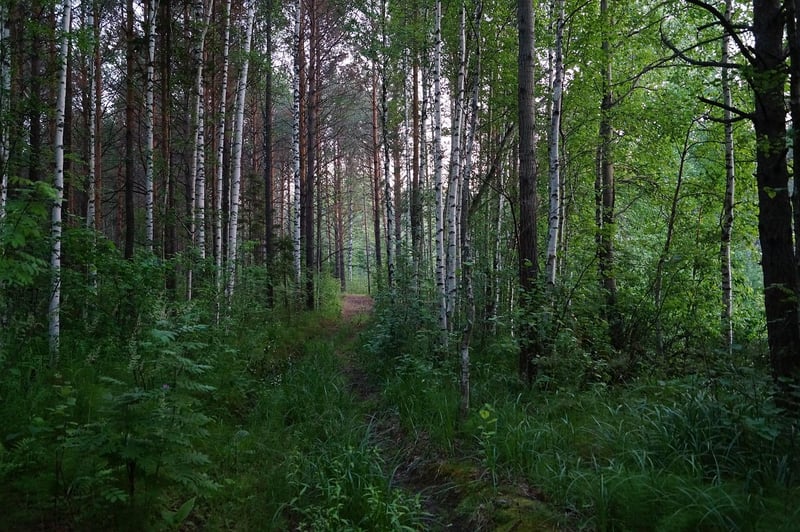 Secret Trails