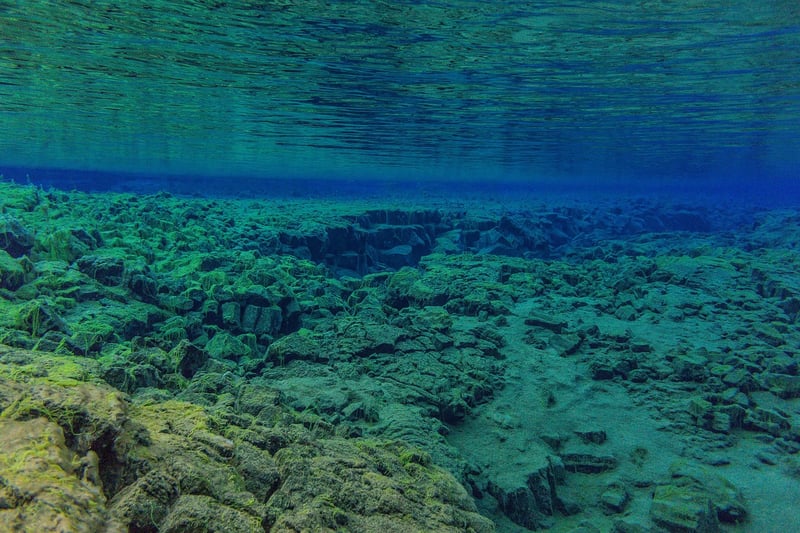 Underwater Discovery